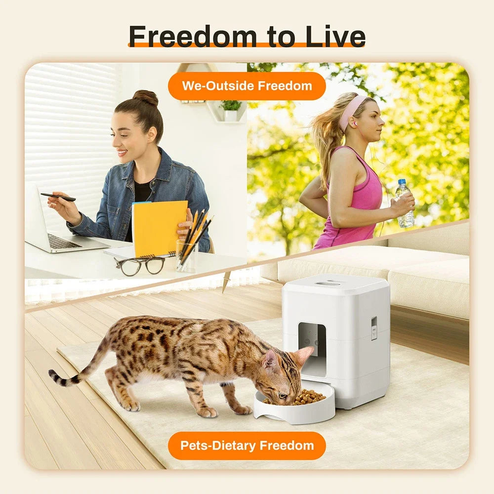 Automatic Pet Feeder Button / WiFi Version Auto Cat Food Dispenser Accessories Smart Control Pet Feeder For Cats Dog