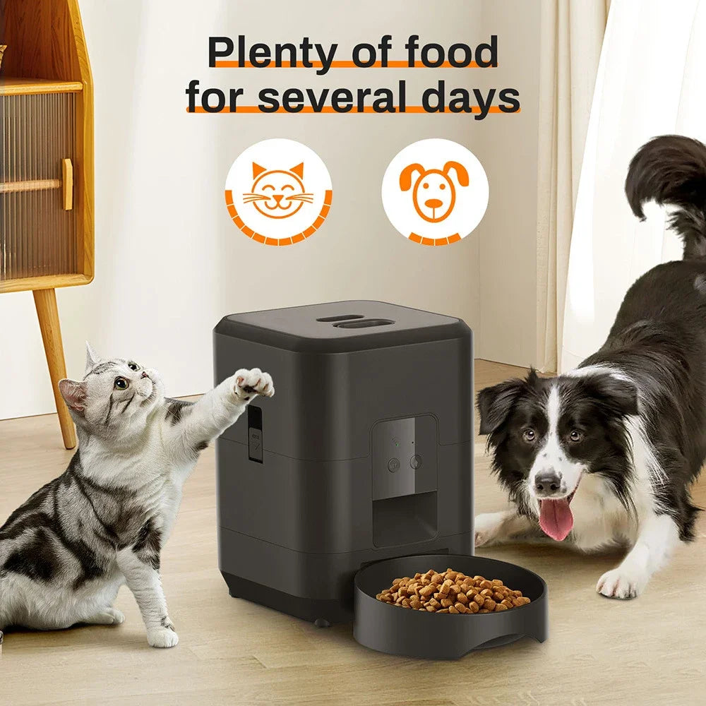 Automatic Pet Feeder Button / WiFi Version Auto Cat Food Dispenser Accessories Smart Control Pet Feeder For Cats Dog