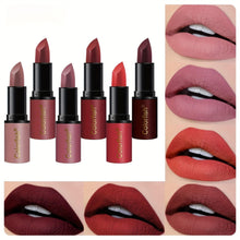Load image into Gallery viewer, Luxurious 24pc Matte Lipstick Set - 6 Long-Wearing, Waterproof Shades, Gift-Ready for All Skins - Shop &amp; Buy
